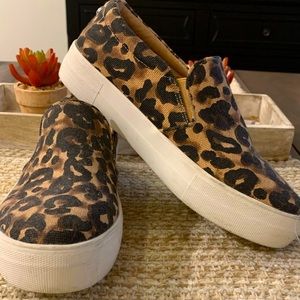 Steve Madden Gills Leopard sprint Canvas Slip On Sneakers